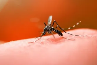 dengue:-numeros-de-2026-trazem-boa-noticia-para-quem-mora-em-goiania