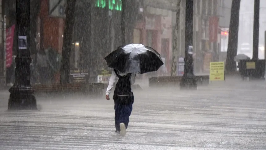 juiz-de-fora-e-litoral-paulista-podem-ter-chuva-forte-nesta-sexta;-tempo-melhora-no-fim-de-semana