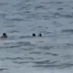 bombeiro-goiano-salva-casal-de-afogamento-em-copacabana