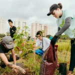 bloco-faz-acao-sustentavel-pos-carnaval-com-plantio-de-500-arvores-em-goiania