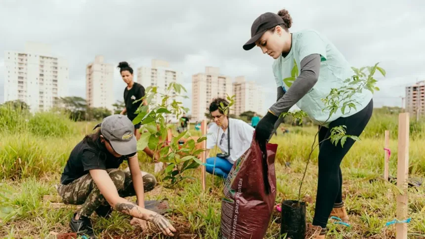 bloco-faz-acao-sustentavel-pos-carnaval-com-plantio-de-500-arvores-em-goiania