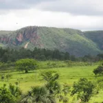 goias-aparece-entre-os-melhores-em-pesquisa-sobre-transparencia-no-meio-ambiente