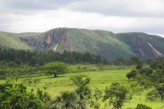 goias-aparece-entre-os-melhores-em-pesquisa-sobre-transparencia-no-meio-ambiente