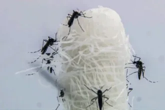 goias-investiga-primeira-morte-por-suspeita-de-chikungunya