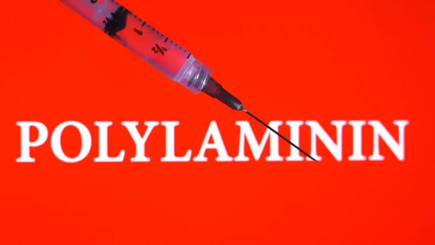 polilaminina:-entenda-a-esperanca-e-os-testes-ainda-necessarios