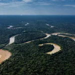 indigena-e-torturado-e-deixado-a-deriva-em-rio-por-pescadores-ilegais