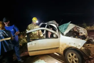 colisao-entre-caminhao-e-caminhonete-mata-dois-na-go-174,-em-montividiu