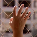 violencia-domestica:-goias-teve-mais-de-26-mil-medidas-protetivas-concedidas-em-2025