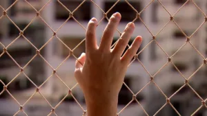violencia-domestica:-goias-teve-mais-de-26-mil-medidas-protetivas-concedidas-em-2025