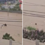 mulher-desaparece-apos-ser-arrastada-por-enxurrada-na-bahia