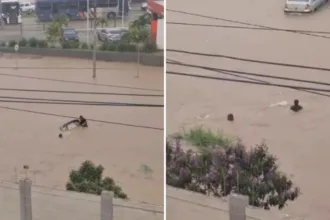 mulher-desaparece-apos-ser-arrastada-por-enxurrada-na-bahia