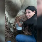 ana-castela-ordenha-vaca-enquanto-canta-‘talisma’,-musica-do-ex-sogro;-video