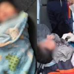 recem-nascido-encontrado-em-caixa-de-papelao-e-encaminhado-para-abrigo-apos-receber-alta-em-senador-canedo