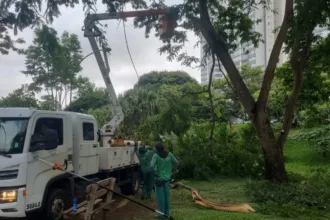 fiscais-acompanham-corte-de-arvores-e-mp-cobra-mais-transparencia-da-prefeitura-de-goiania
