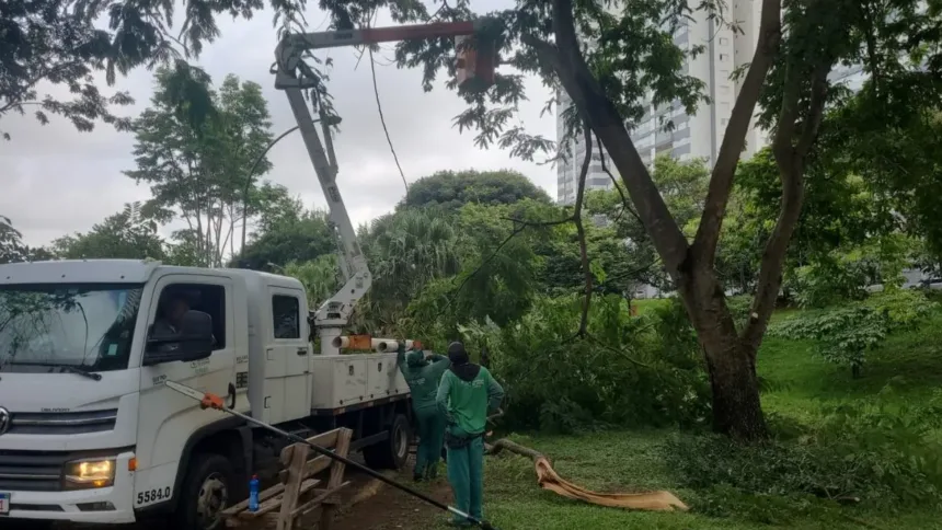 fiscais-acompanham-corte-de-arvores-e-mp-cobra-mais-transparencia-da-prefeitura-de-goiania