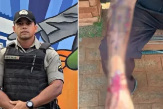 ‘puxei-pelo-rabo’,-conta-policial-que-salvou-idoso-e-cavalo-do-ataque-de-um-pitbull,-em-rio-verde