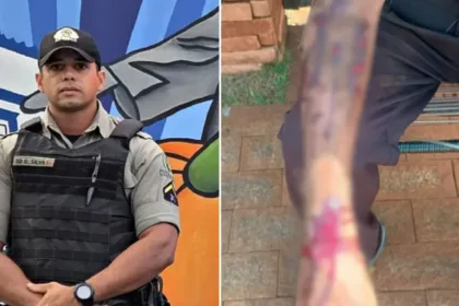 ‘puxei-pelo-rabo’,-conta-policial-que-salvou-idoso-e-cavalo-do-ataque-de-um-pitbull,-em-rio-verde