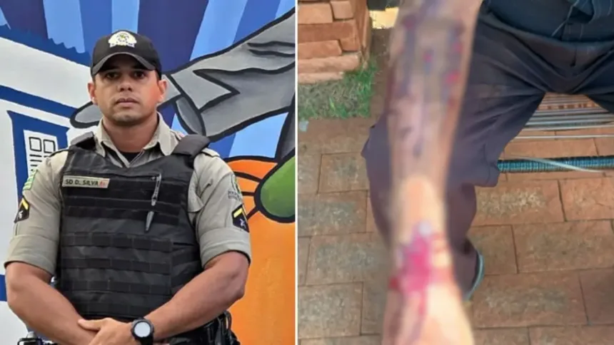 ‘puxei-pelo-rabo’,-conta-policial-que-salvou-idoso-e-cavalo-do-ataque-de-um-pitbull,-em-rio-verde