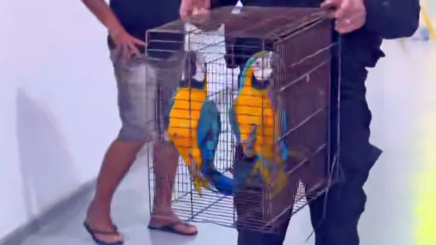 operacao-mira-lixoes-do-comando-vermelho-em-duque-de-caxias-–-g1