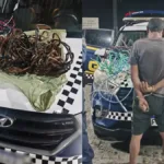 homem-e-preso-suspeito-de-furtar-quase-50-kg-de-fios-em-parques-de-goiania