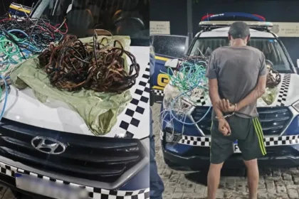 homem-e-preso-suspeito-de-furtar-quase-50-kg-de-fios-em-parques-de-goiania