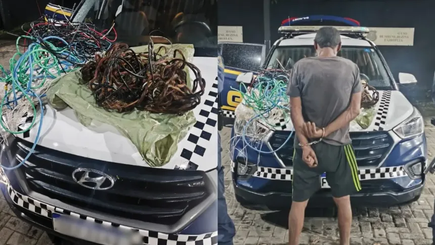 homem-e-preso-suspeito-de-furtar-quase-50-kg-de-fios-em-parques-de-goiania