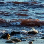 estreito-de-ormuz-esta-aberto-para-todos,-menos-para-aliados-dos-eua,-diz-chanceler-iraniano