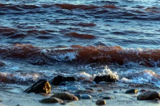 estreito-de-ormuz-esta-aberto-para-todos,-menos-para-aliados-dos-eua,-diz-chanceler-iraniano