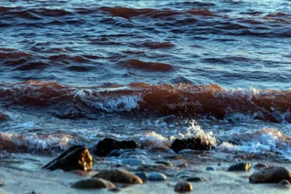 estreito-de-ormuz-esta-aberto-para-todos,-menos-para-aliados-dos-eua,-diz-chanceler-iraniano