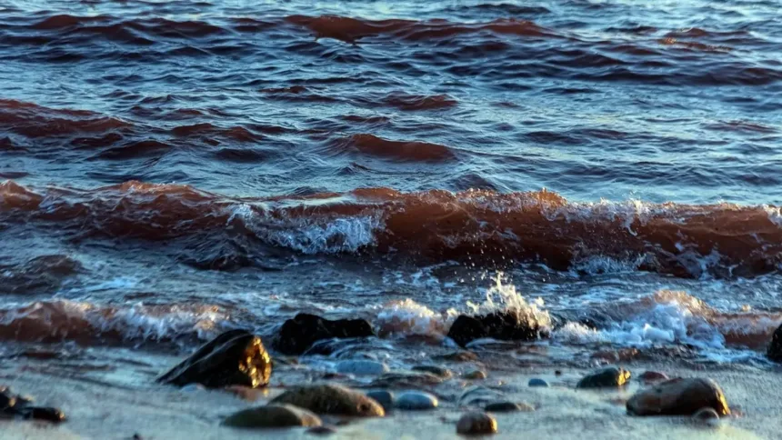 estreito-de-ormuz-esta-aberto-para-todos,-menos-para-aliados-dos-eua,-diz-chanceler-iraniano