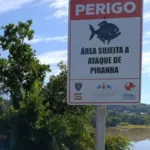 menina-de-7-anos-e-mordida-por-piranhas-em-lago-de-caldas-novas