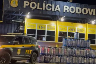 policia-intercepta-1,5-tonelada-de-skunk-na-br-060,-a-‘maior-da-historia’-em-goias