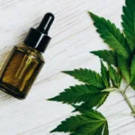 camara-de-goiania-aprova-criacao-de-centro-de-cannabis-medicinal