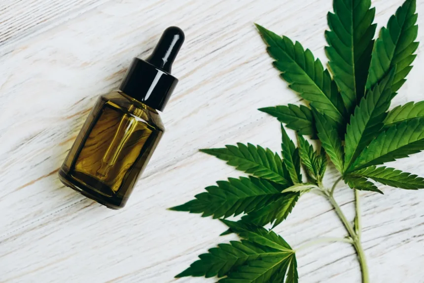 camara-de-goiania-aprova-criacao-de-centro-de-cannabis-medicinal