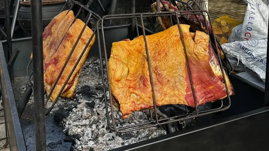 motogp-em-goiania:-vila-gastronomica-tera-desde-comida-goiana-a-pratos-internacionais