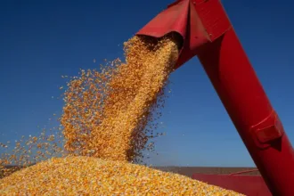 tjgo-reconhece-graos-como-essenciais-e-barra-apreensao-em-recuperacao-judicial-de-produtores