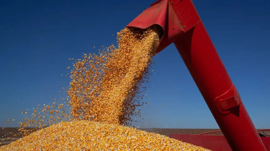 tjgo-reconhece-graos-como-essenciais-e-barra-apreensao-em-recuperacao-judicial-de-produtores