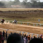 hipodromo-da-lagoinha-retoma-corridas-de-cavalos-neste-sabado-(28/3)