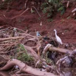 expedicao-retira-180-toneladas-de-lixo-do-rio-meia-ponte,-em-goiania