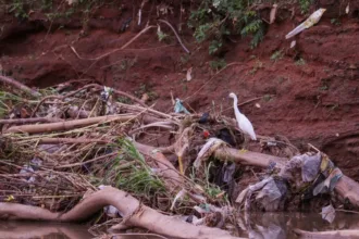 expedicao-retira-180-toneladas-de-lixo-do-rio-meia-ponte,-em-goiania