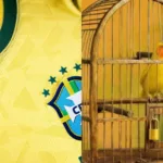 ‘vai,-brasa’-e-canarinho-de-tres-patas:-uniforme-da-selecao-vira-polemica-–-r7