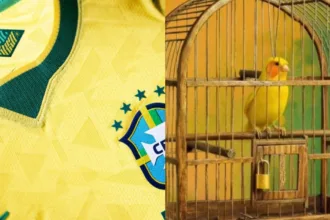 ‘vai,-brasa’-e-canarinho-de-tres-patas:-uniforme-da-selecao-vira-polemica-–-r7