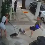 justica-condena-aposentado-por-agredir-caes-de-irma-do-ministro-zanin,-do-stf