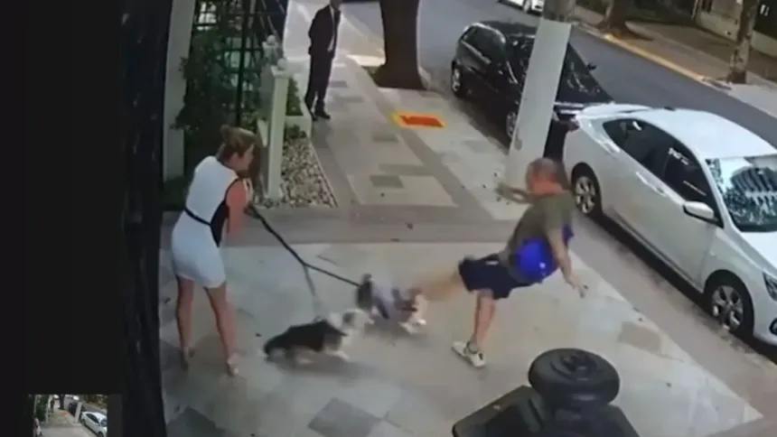 justica-condena-aposentado-por-agredir-caes-de-irma-do-ministro-zanin,-do-stf