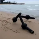 ‘metamaquinas’:-robos-‘diferentoes’-criados-com-ia-continuam-funcionando-mesmo-apos-danos