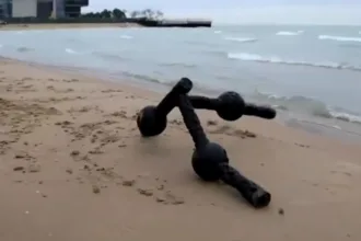 ‘metamaquinas’:-robos-‘diferentoes’-criados-com-ia-continuam-funcionando-mesmo-apos-danos