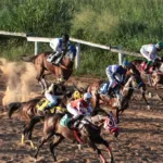 hipodromo-da-lagoinha-recebe-primeira-corrida-apos-a-reabertura;-confira-as-imagens