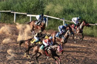 hipodromo-da-lagoinha-recebe-primeira-corrida-apos-a-reabertura;-confira-as-imagens