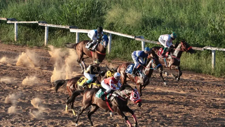hipodromo-da-lagoinha-recebe-primeira-corrida-apos-a-reabertura;-confira-as-imagens
