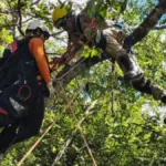 go:-mulher-fica-presa-em-arvore-durante-salto-de-parapente